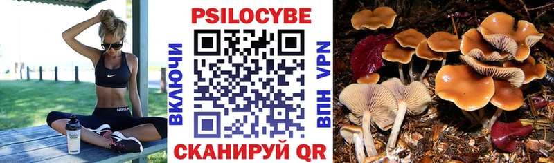 ссылка на мегу онион  Вичуга  Псилоцибиновые грибы Psilocybe  где продают наркотики 